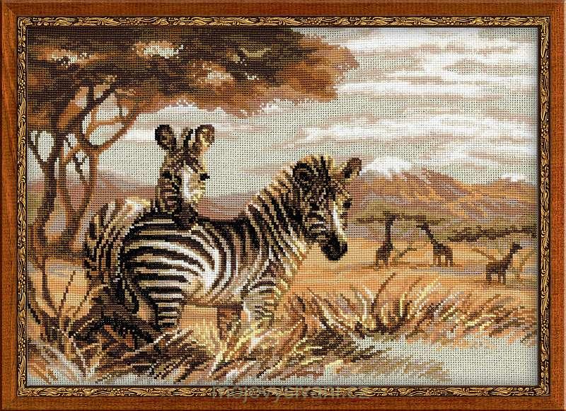 Zebry v Savaně
