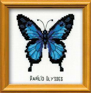 Modrý motýl