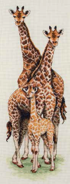 Giraffe Family