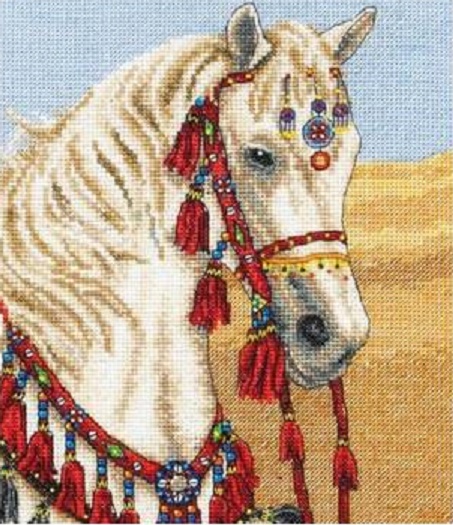 Arabian Horse