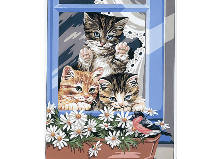 Koťata v okně