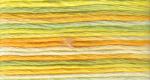 Anchor mouliné multicolor č. 1304
