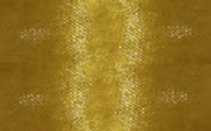 Organza 12 cm obšitá zlatá
