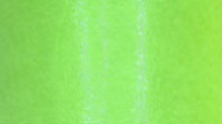 Organza 12 cm obšitá světle zelená