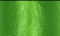 Organza 12 cm obšitá zelená