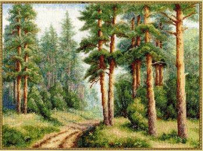 Borový les