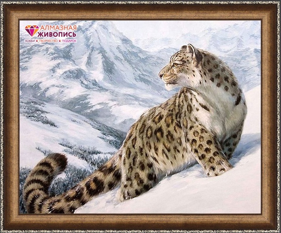 Sněžný leopard